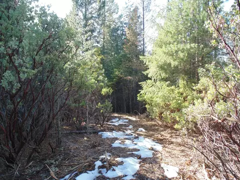40 Ringtail Rd, Georgetown, CA 95634 photo 9