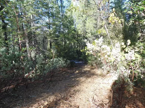 40 Ringtail Rd, Georgetown, CA 95634 photo 17
