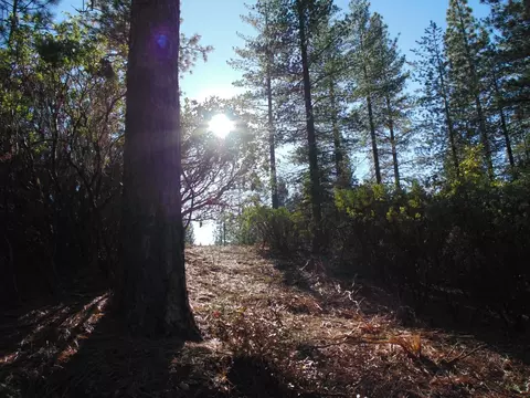 40 Ringtail Rd, Georgetown, CA 95634 photo 14
