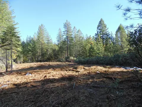 40 Ringtail Rd, Georgetown, CA 95634 photo 11