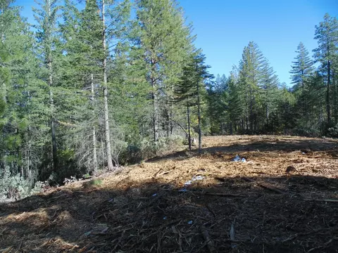 40 Ringtail Rd, Georgetown, CA 95634 photo 7
