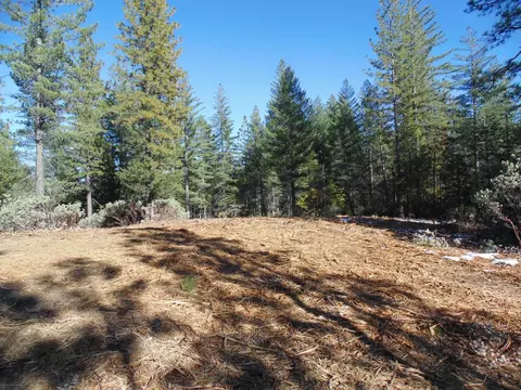 40 Ringtail Rd, Georgetown, CA 95634 photo 2