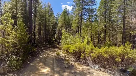 40 Ringtail Rd, Georgetown, CA 95634 photo 15
