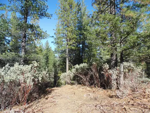 40 Ringtail Rd, Georgetown, CA 95634 photo 16