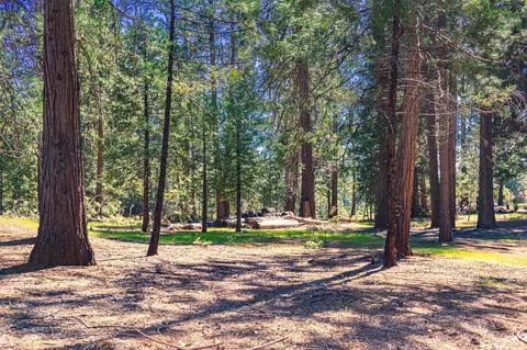 25594 Overland Dr, Volcano, CA 95689 photo 9