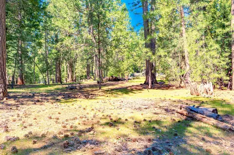 25594 Overland Dr, Volcano, CA 95689 photo 6