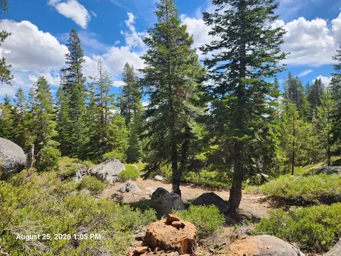 387 Jeffry Cir, Tamarack, CA 95223 photo 8