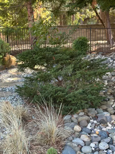 Exterior - 110 Egret Pl, Grass Valley, CA 95945 photo 7 of 7