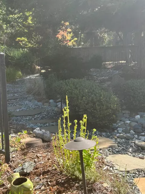 Exterior - 110 Egret Pl, Grass Valley, CA 95945 photo 6 of 7