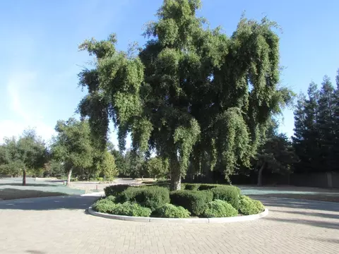 2824 Penhurst Park, Modesto, CA 95355 photo 4