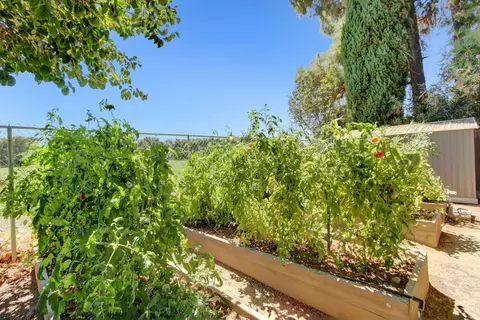 Other - 44703 S El Macero Dr, El Macero, CA 95618 photo 14 of 19