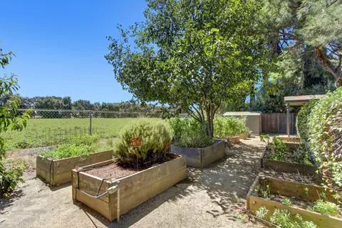 Exterior - 44703 S El Macero Dr, El Macero, CA 95618 photo 10 of 21