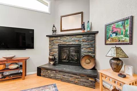 Living - 44703 S El Macero Dr, El Macero, CA 95618 photo 7 of 9