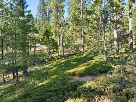 Exterior - 2950 Placer Way, Arnold, CA 95223 photo 10 of 13