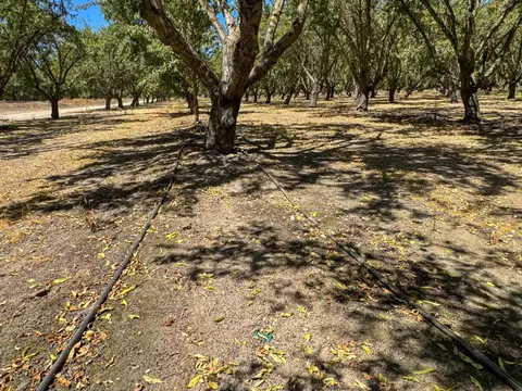 19312 S Wagner Ave, Ripon, CA 95366 photo 6