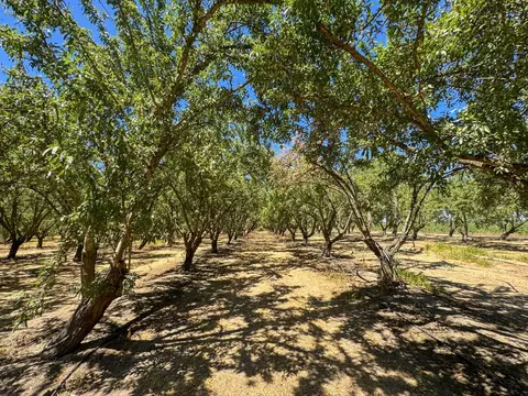 19312 S Wagner Ave, Ripon, CA 95366 photo 9