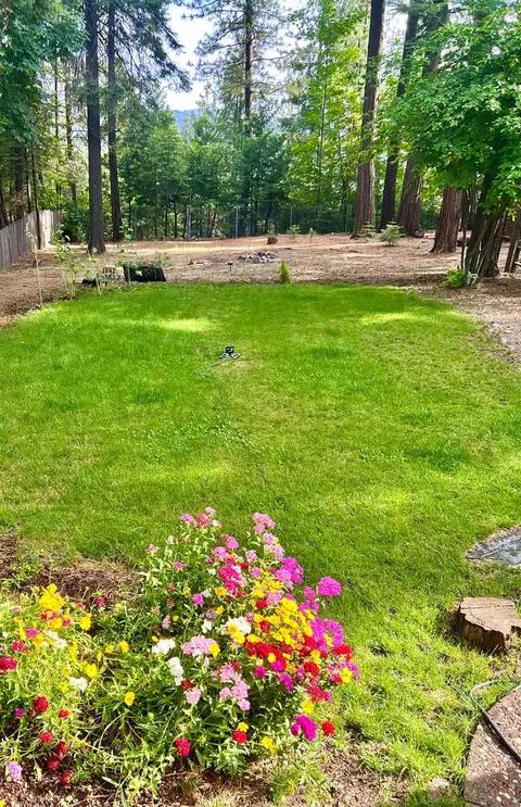 Exterior - 6775 Ridgeway Dr, Pollock Pines, CA 95726 photo 8 of 22
