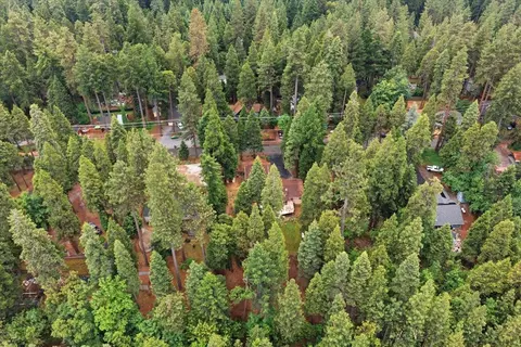 View/Area - 6775 Ridgeway Dr, Pollock Pines, CA 95726 photo 1 of 2