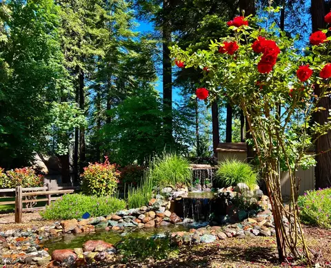 Exterior - 6775 Ridgeway Dr, Pollock Pines, CA 95726 photo 11 of 22