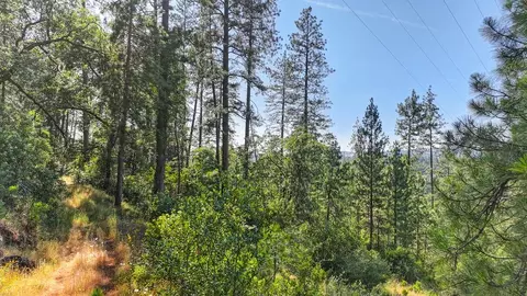 24316 Timber Ridge Dr, Auburn, CA 95602