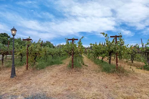 Exterior - 11700 E Mayers, Acampo, CA 95220 photo 16 of 22