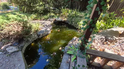 View/Area - 2604 Javan Ln, Carmichael, CA 95608 photo 1 of 1