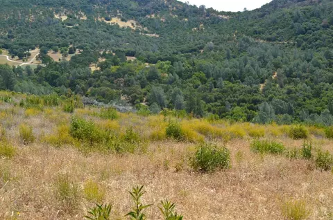 4905 Moaning Cave Rd, Vallecito, CA 95251 photo 9