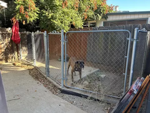 Exterior - 541 High St, Modesto, CA 95354 photo 8 of 8