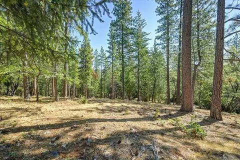 4070 Stope Dr, Placerville, CA 95667 photo 23
