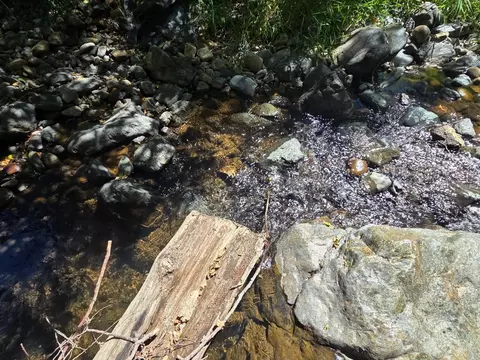 17378 Scopar Rd, Grass Valley, CA 95949 photo 8