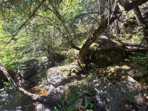 17378 Scopar Rd, Grass Valley, CA 95949 photo 18