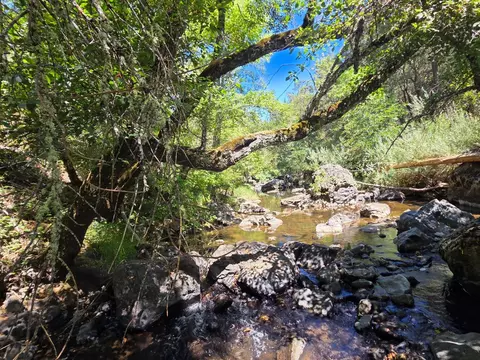 17378 Scopar Rd, Grass Valley, CA 95949 photo 11