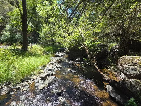 17378 Scopar Rd, Grass Valley, CA 95949 photo 7