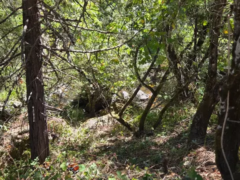 17378 Scopar Rd, Grass Valley, CA 95949 photo 14