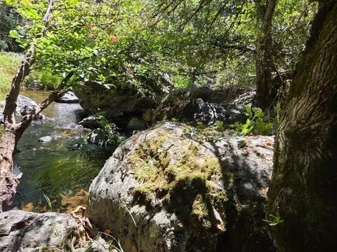 17378 Scopar Rd, Grass Valley, CA 95949 photo 6