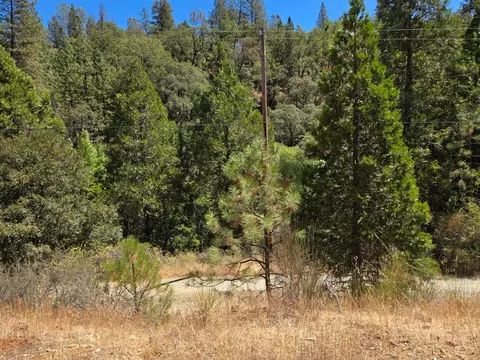 17378 Scopar Rd, Grass Valley, CA 95949 photo 19