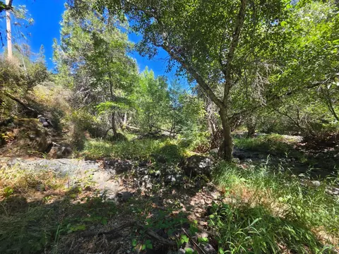 17378 Scopar Rd, Grass Valley, CA 95949 photo 17
