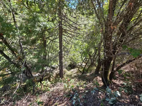17378 Scopar Rd, Grass Valley, CA 95949 photo 16