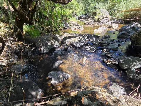 17378 Scopar Rd, Grass Valley, CA 95949 photo 9