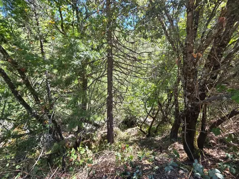 17378 Scopar Rd, Grass Valley, CA 95949 photo 15