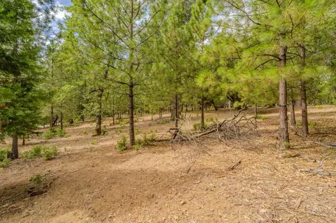 12900 Tabeaud Rd, Pine Grove, CA 95665 photo 5