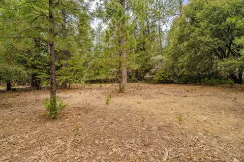 12900 Tabeaud Rd, Pine Grove, CA 95665 photo 14