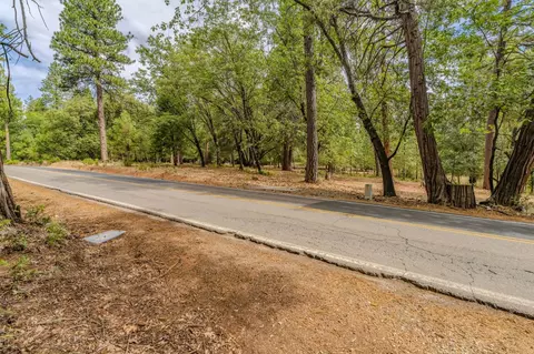 12900 Tabeaud Rd, Pine Grove, CA 95665 photo 17