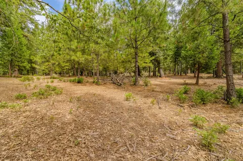 12900 Tabeaud Rd, Pine Grove, CA 95665 photo 6