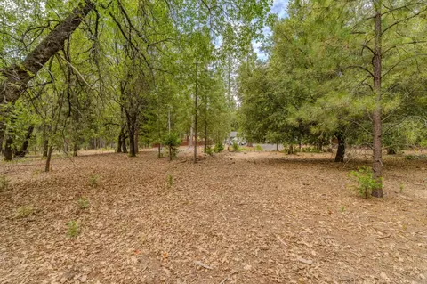 12900 Tabeaud Rd, Pine Grove, CA 95665 photo 13