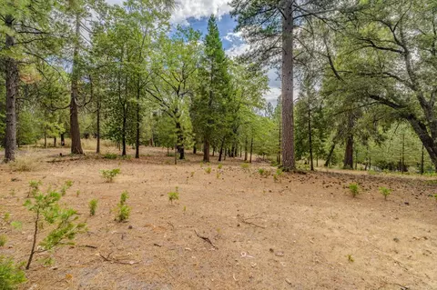 12900 Tabeaud Rd, Pine Grove, CA 95665 photo 16