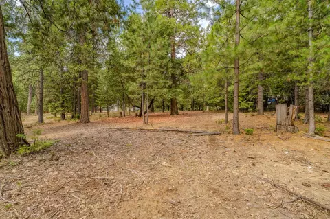 12900 Tabeaud Rd, Pine Grove, CA 95665 photo 9
