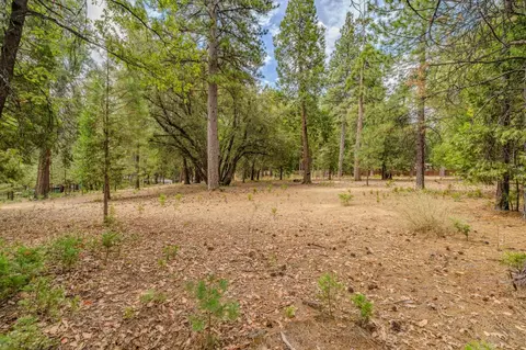 0 Tabeaud Rd, Pine Grove, CA 95665 photo 2