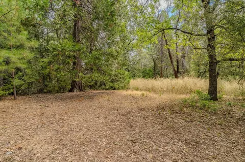 0 Tabeaud Rd, Pine Grove, CA 95665 photo 3