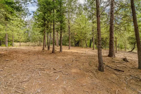 0 Tabeaud Rd, Pine Grove, CA 95665 photo 5